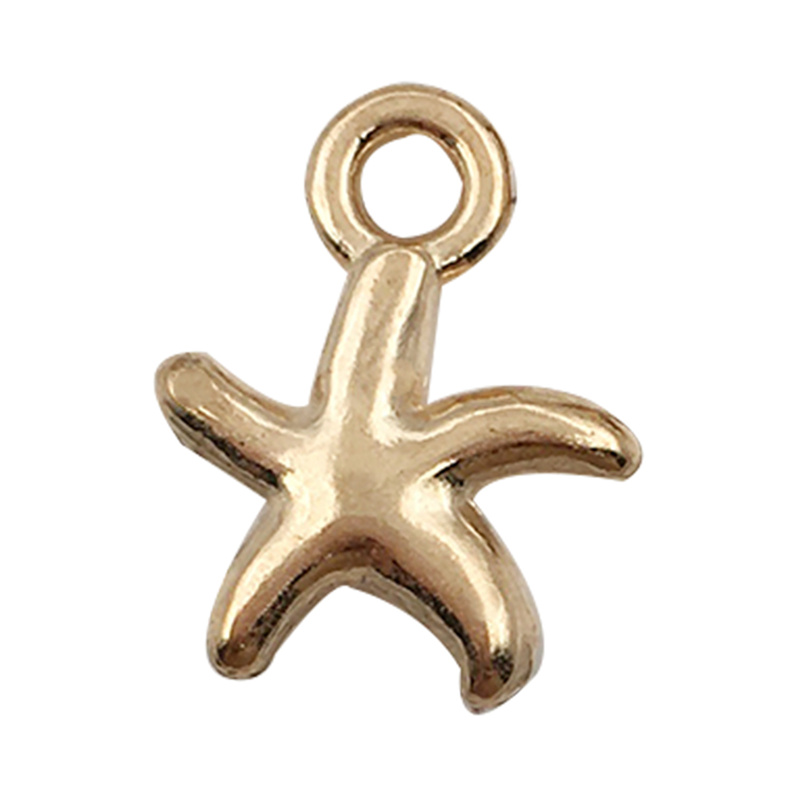 30pcs Metal Alloy Shell Starfi - Women'S Key Accessories のレビューと価格